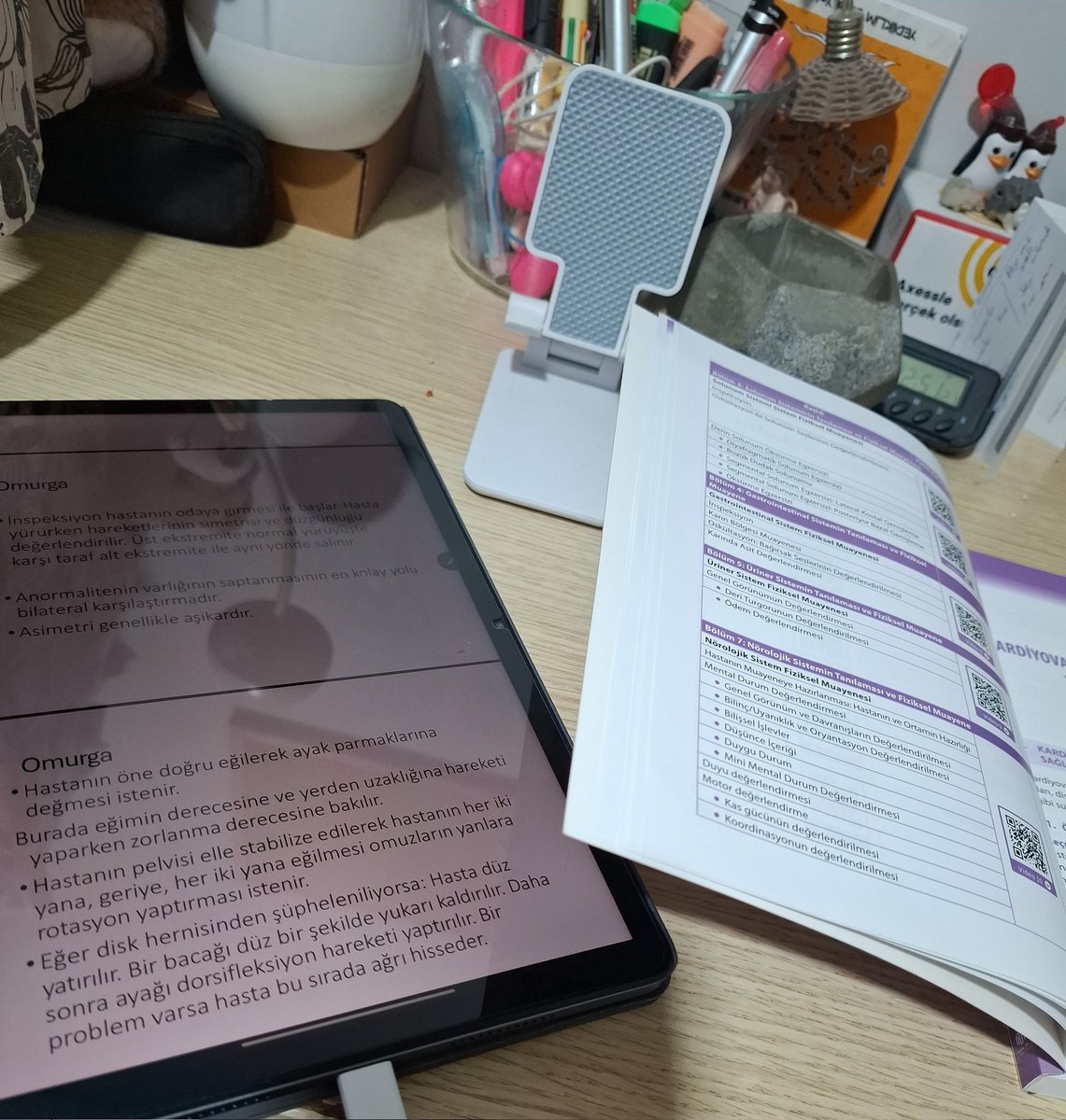 Meltem🧸 tweet media