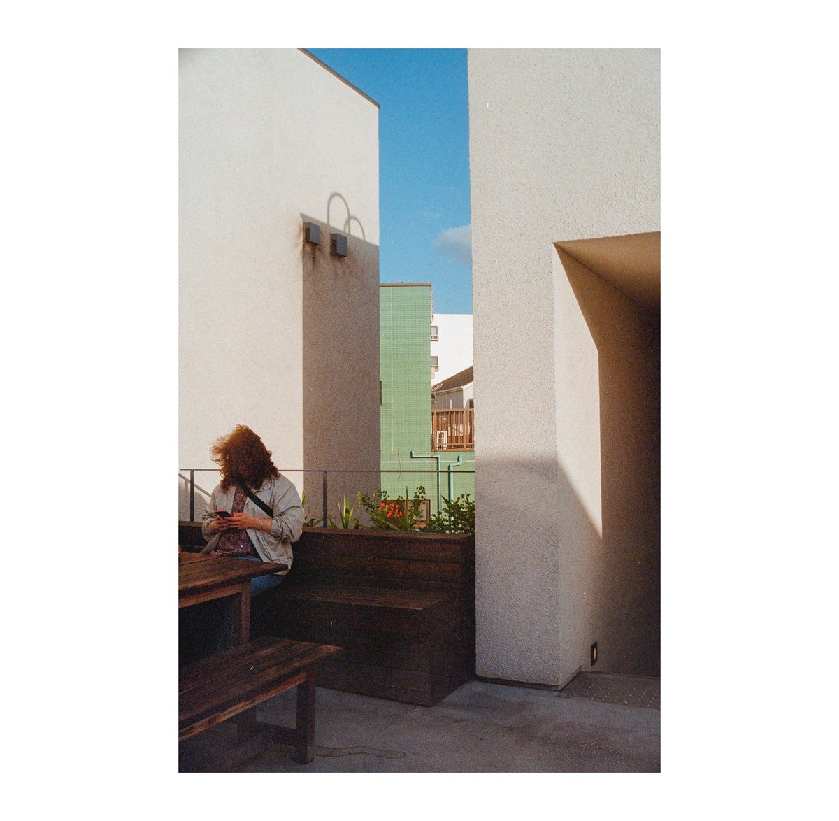 monodahl's tweet image. #filmphotography