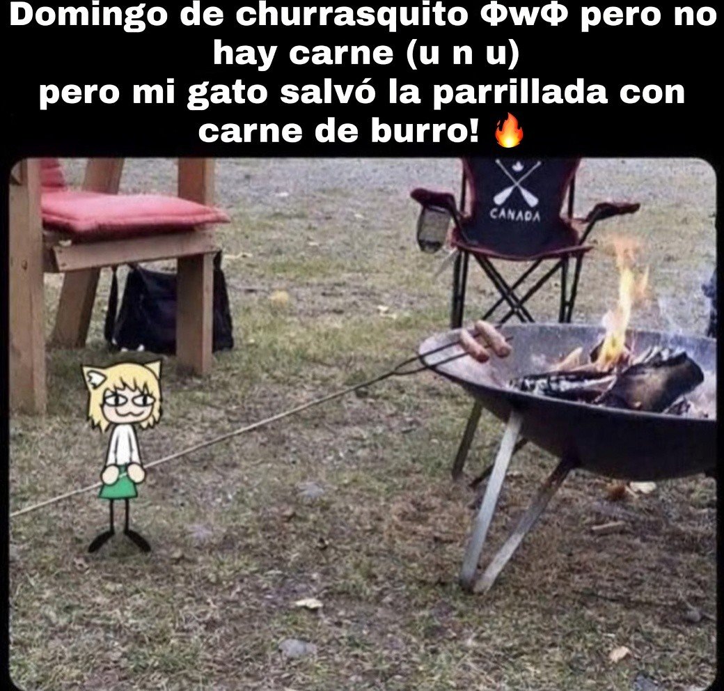 NecoSpiritplus's tweet image. Una pregunta... sería☆
¿A qué sabe la 🍖 de 🫏?
No la he probado aún... espero no hacerlo. 🎶🎶~ (-。-;)
#dudas #memes #funnycat