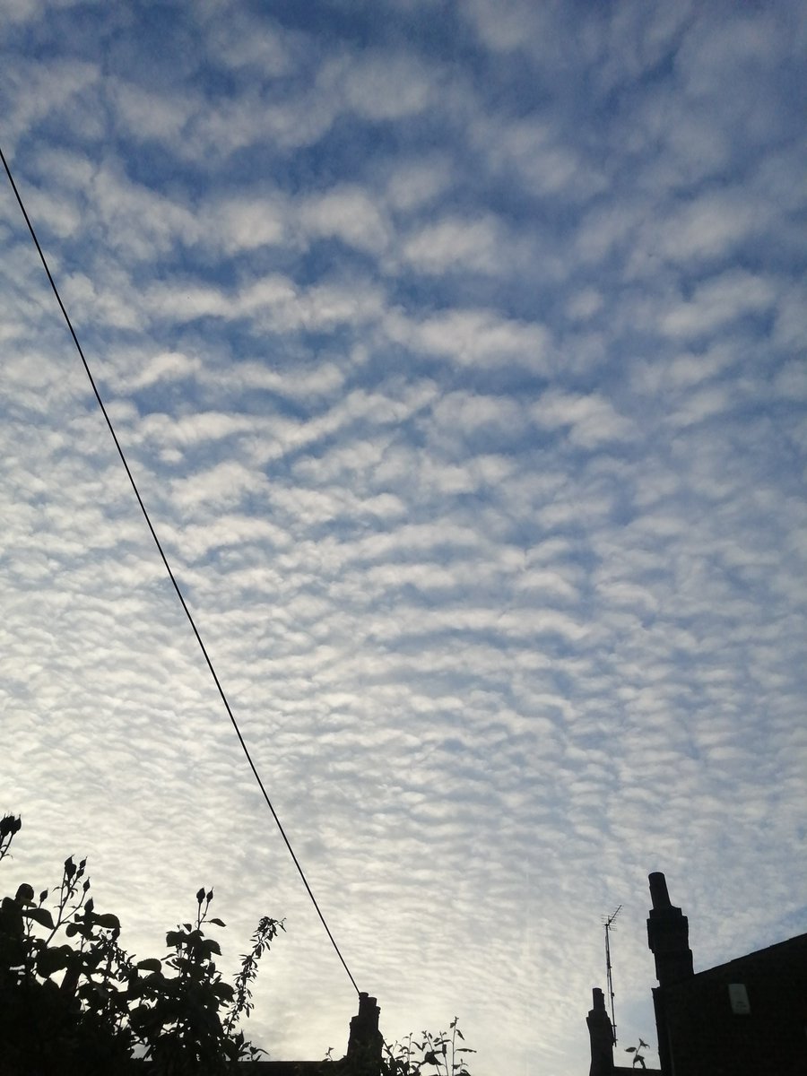 DoktorWatson's tweet image. Classic Mackerel Sky over #Balham tonight. #Clouds