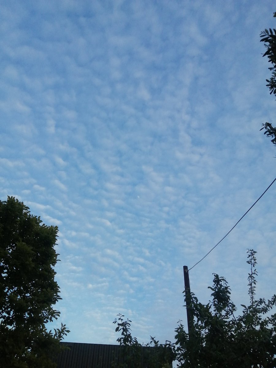 DoktorWatson's tweet image. Classic Mackerel Sky over #Balham tonight. #Clouds