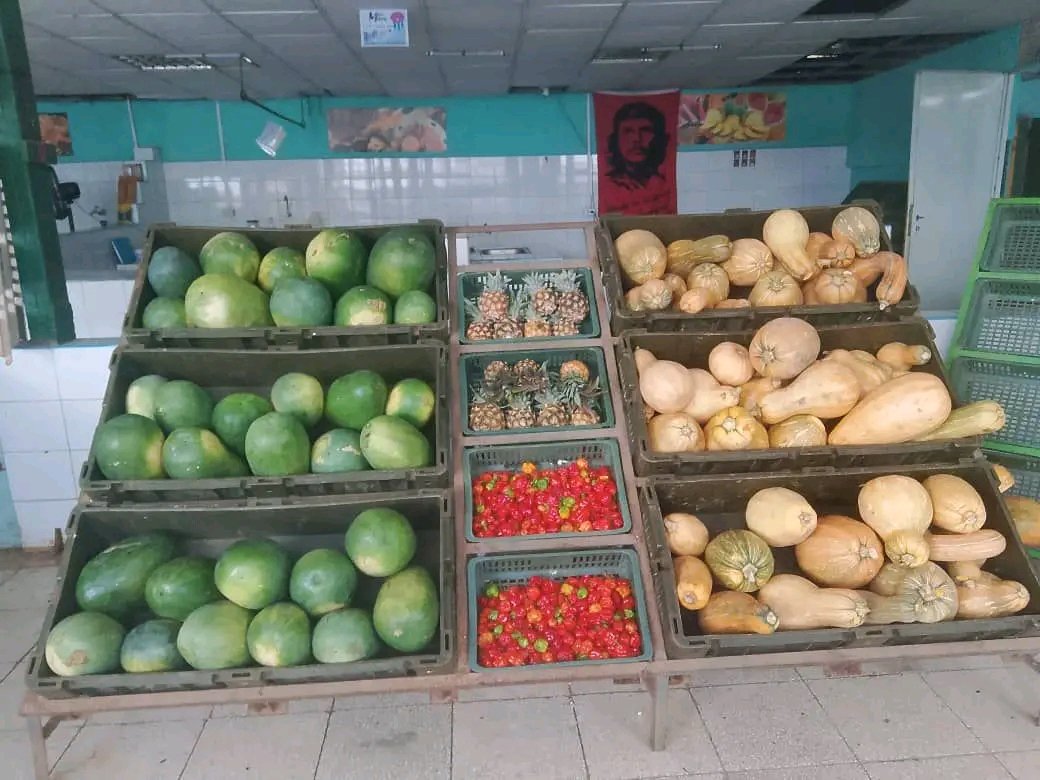 Otro domingo con una variada ofertas de productos agropecuarios en la red de mercados de Acopio en nuestra ciudad de #SantaClara para nuestro pueblo.
#VillaClaraConTodos
#LaPatriaSeDefiende 
#CubaEstáFirme