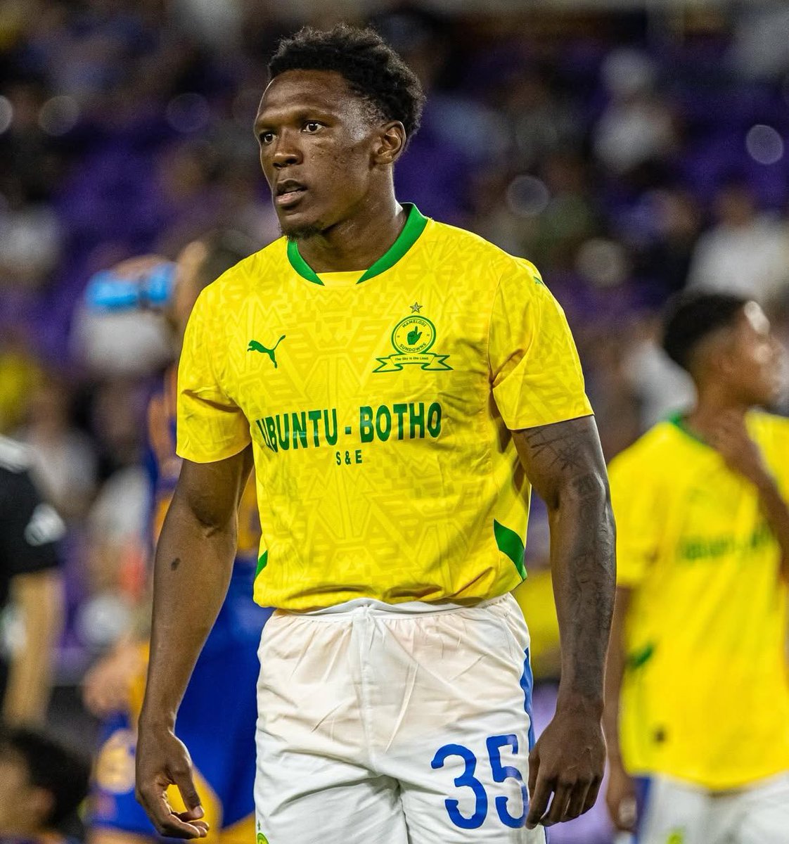 彡 ҡα૨૨αɓεαรƭ tweet media