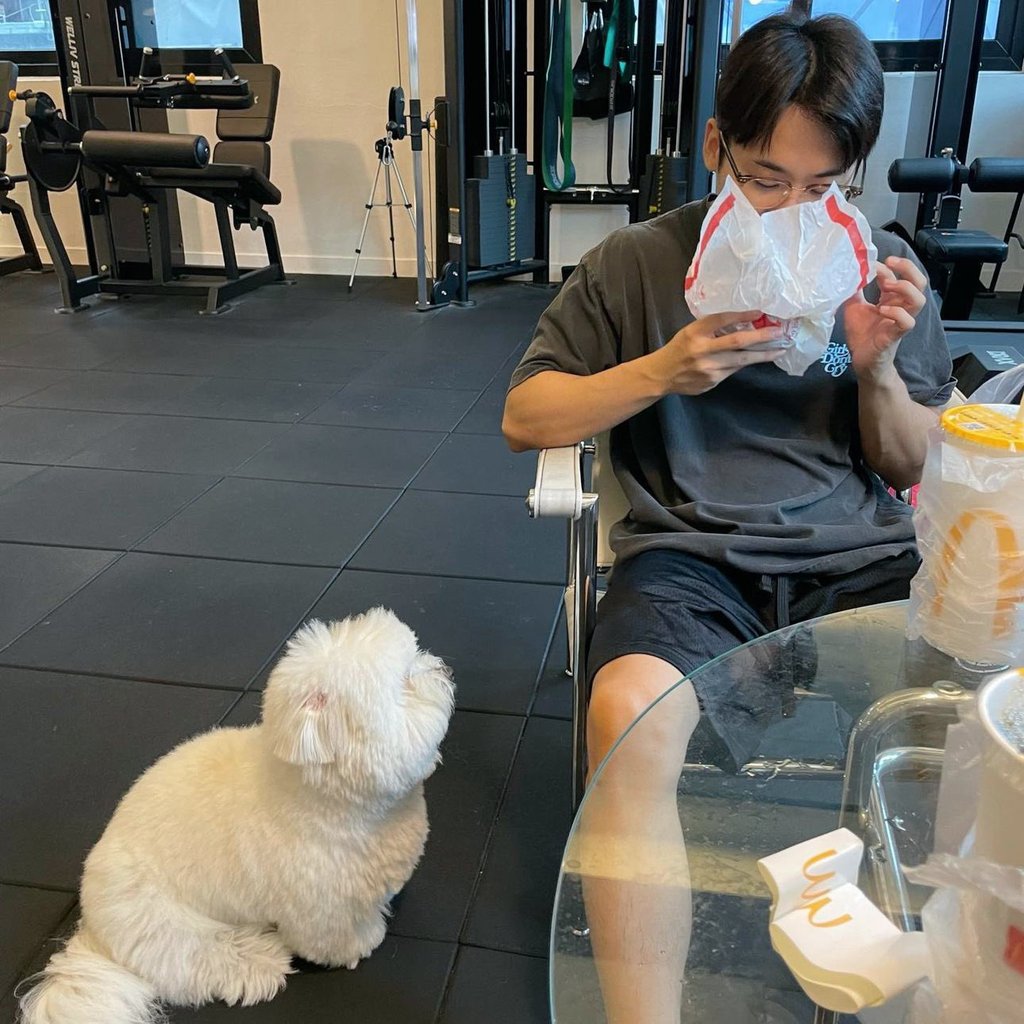 samoyedeee's tweet photo. https://t.co/k7LWr0kKLP