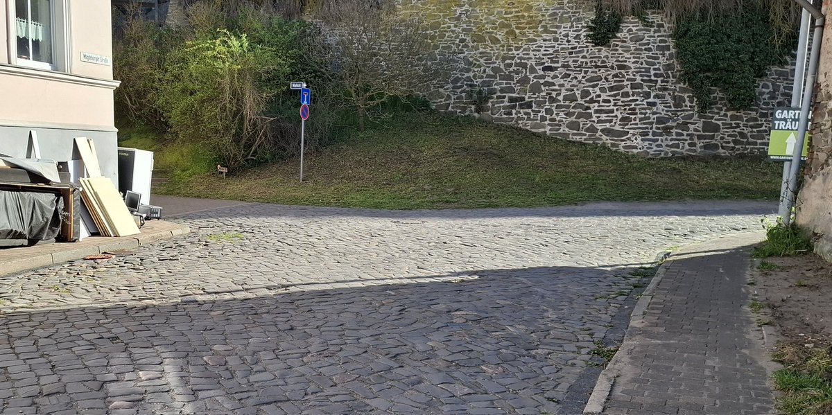 Gartenträume in #Hundisburg , der Ort lädt gerade dazu ein. Müll und schlecht organisiert, tolles Aushängeschild. 🤣