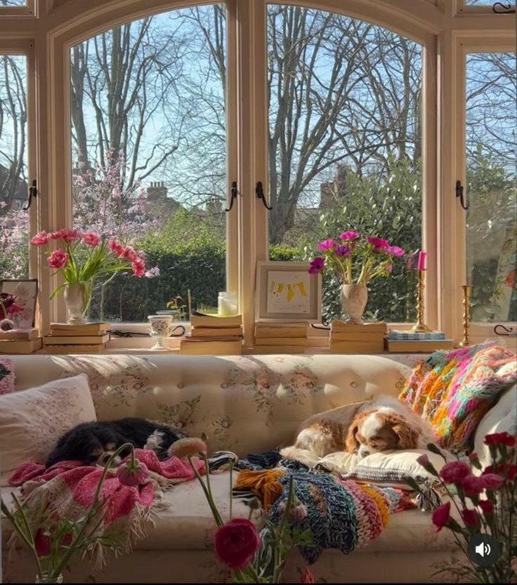 𝒍𝒖𝒏𝒂 tweet media