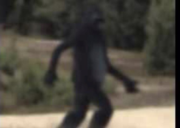 PJeffC's tweet photo. Bigfoot on the Daniel Fast…#bigfoot #danielfast https://t.co/heWNLbJel3
