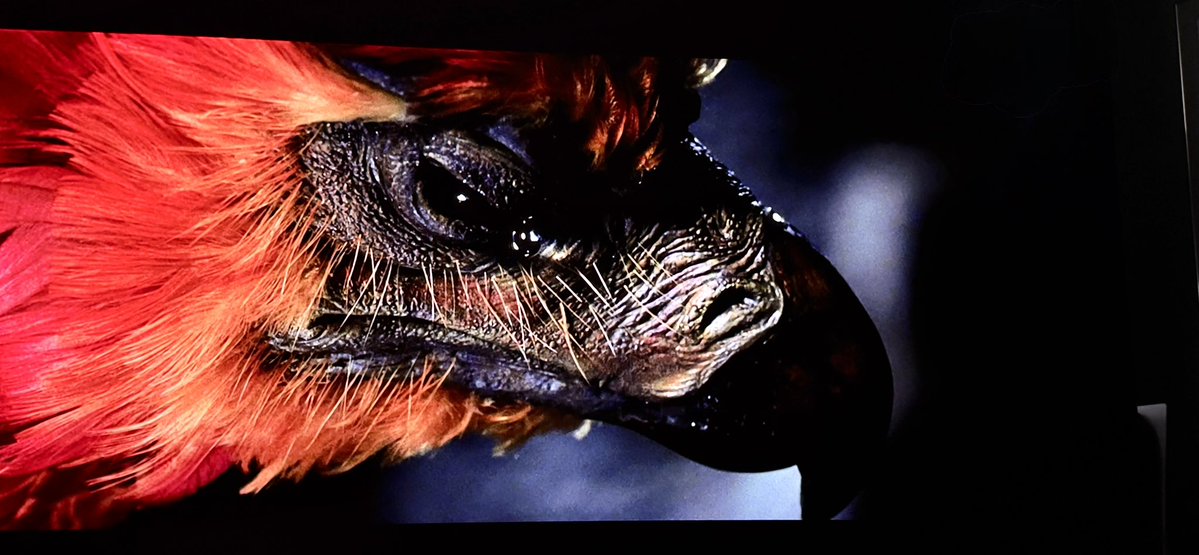 the4kCollectivE's tweet image. That was brilliant. Lovely transfer on the CBHD. Enjoyed that. 👌

#PhysicalMedia #DVD #HDDVD #CBHD #OpticalDisc #WarnerHomeVideo @harrypotter #HarryPotter