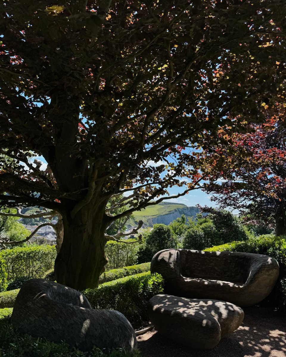 Yvette1688's tweet image. Slow mornings, quiet gardens, and sunlight through old trees. Sometimes peace is the most luxurious thing in life. 🌿☀️
#WeekendVibes #SlowLiving #NatureLovers #PeacefulMoments #MorningMood