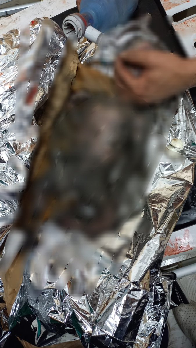 Dr.mostafa project🇵🇸𓂆 tweet media