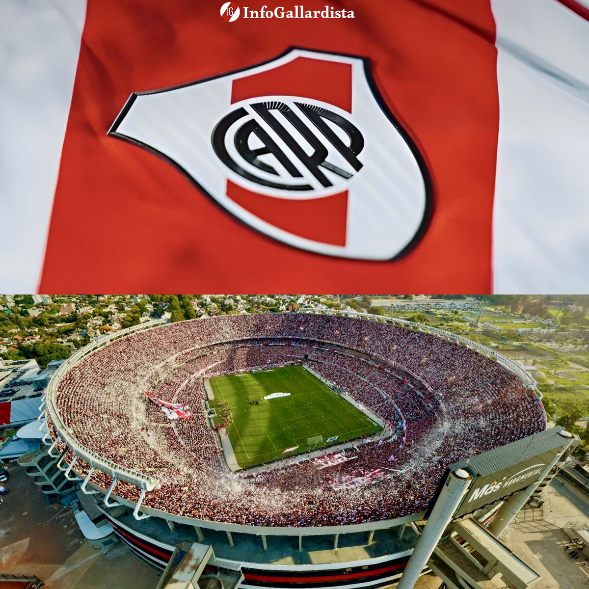 Info Gallardista tweet media