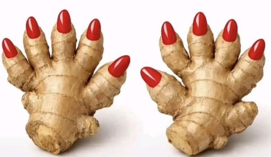 G I L B E R T . tweet media