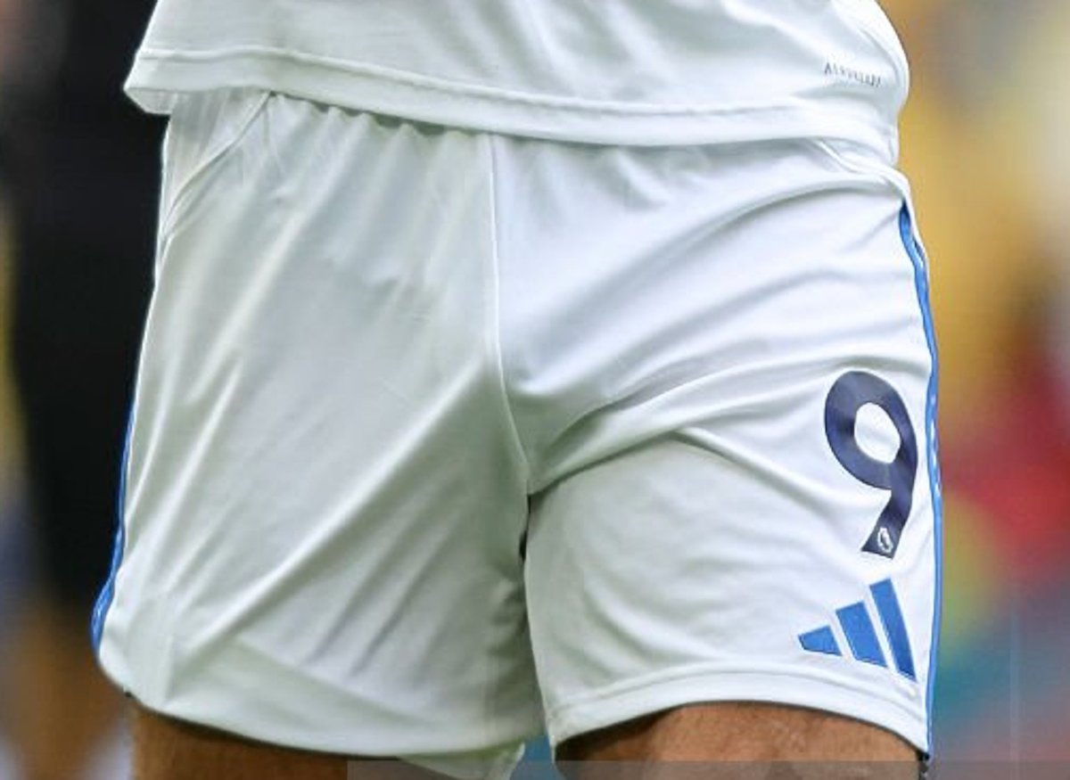 Random Feed tweet media