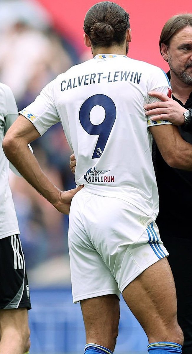 Random Feed tweet media