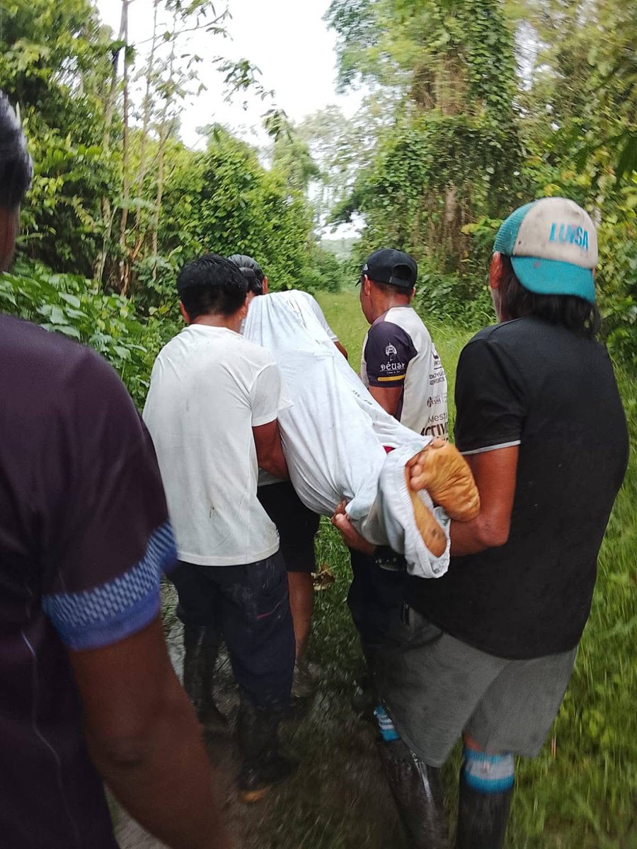 Ecuador En Directo tweet media