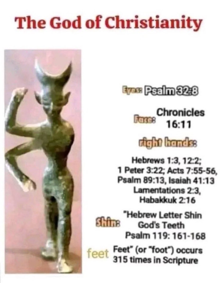 Introvert 🇵🇸 tweet media