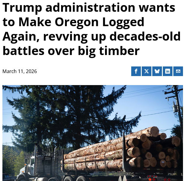 GO GREEN tweet media