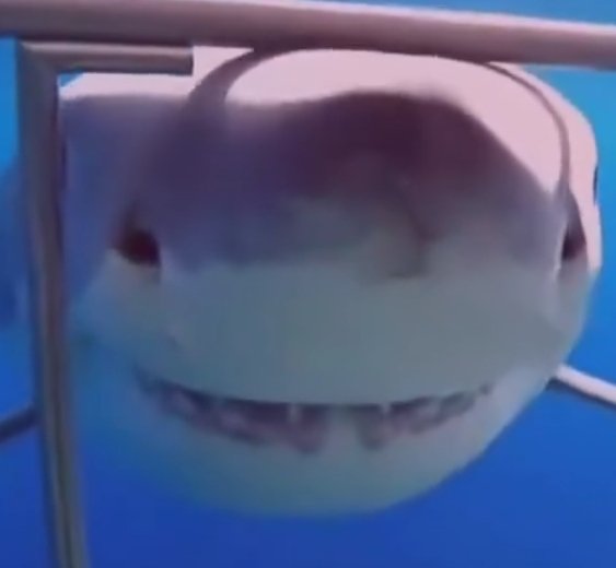 POCKET! 0-C tweet media