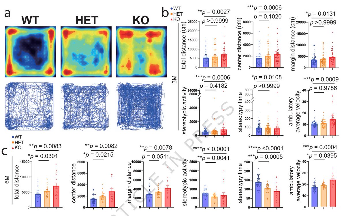 ScienceofPD's tweet image. Live-cell imaging of cultured cortical neurons reveals that LRRK2 substrate Rab12 deletion facilitated, while Rab12 overexpression inhibited, synaptic vesicle exocytosis; A physiological role for RAB12 in synaptic function - implications for #Parkinsons?
nature.com/articles/s4153…