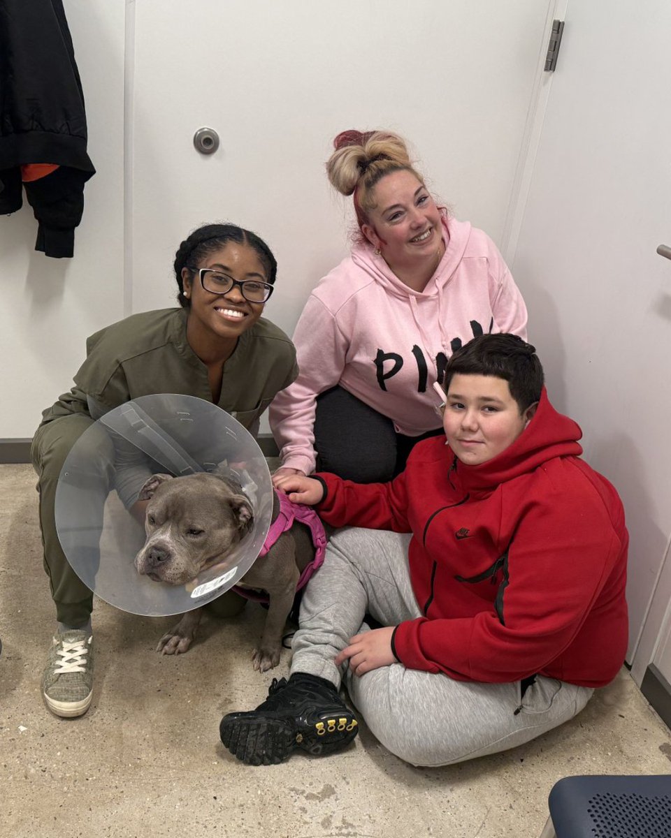 ASPCA tweet media