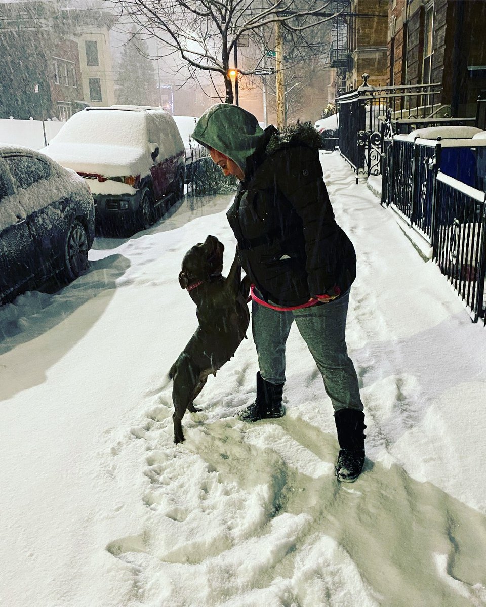 ASPCA tweet media