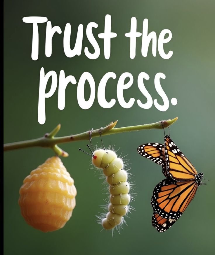 Reality Co-Creation tweet media