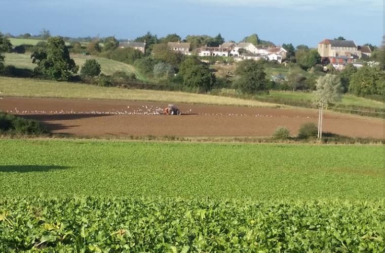 julieBlackstoc2's tweet image. Love where you live and Live where you love! #suffolk