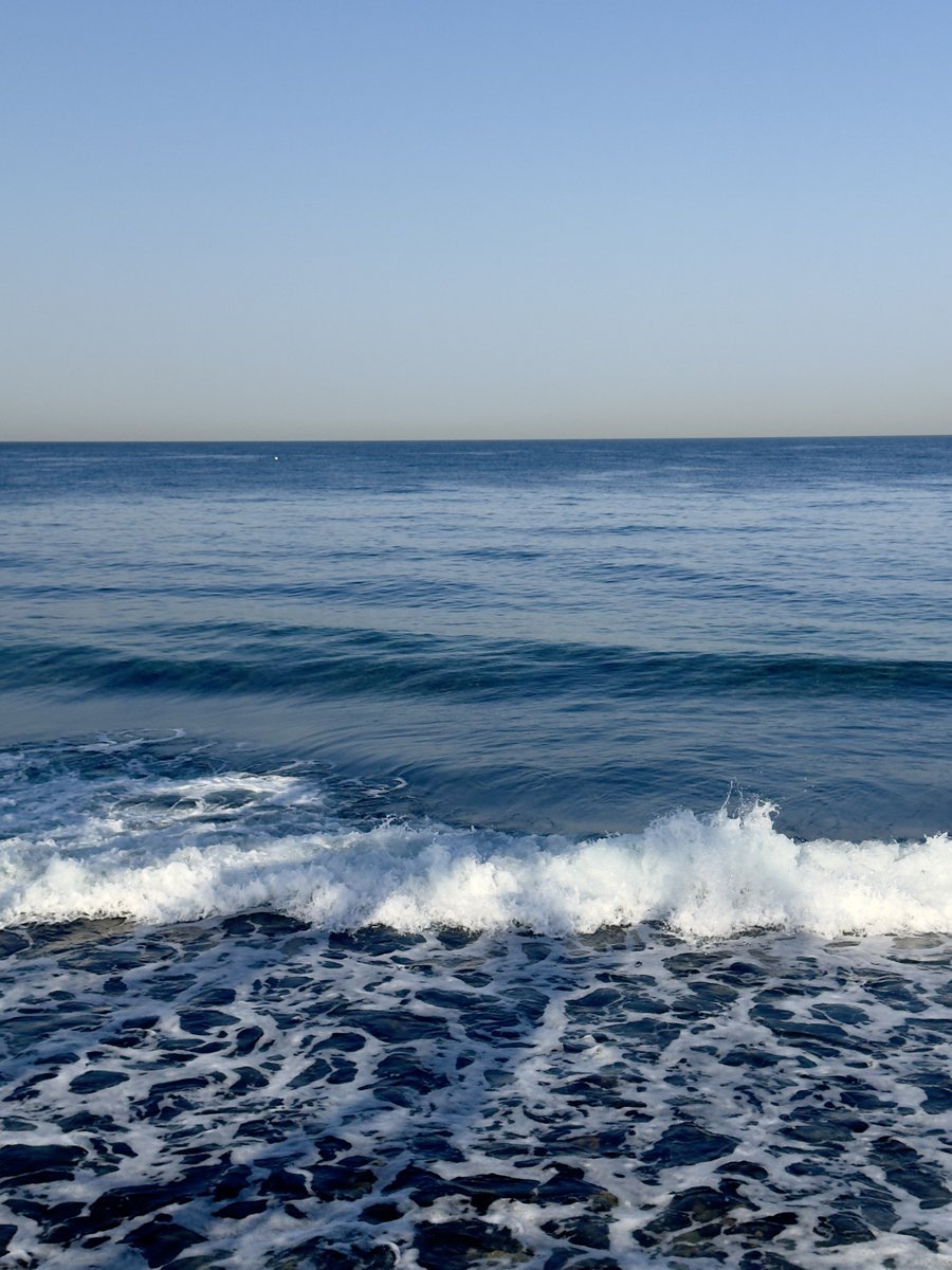 apricity tweet media