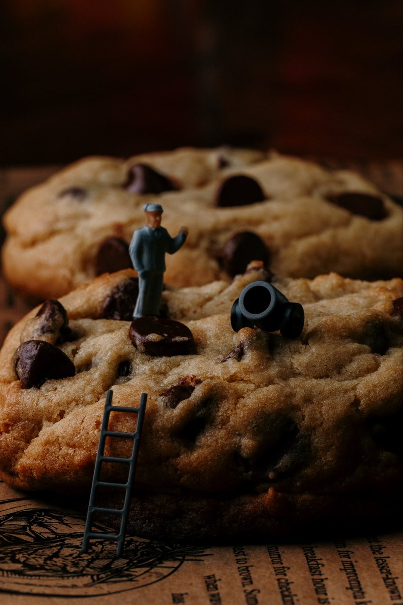 KathyEscotoooo's tweet image. He’s got a real chip on his shoulder. #cookie #chocolatechip #homemade #photography #fypシ゚viral