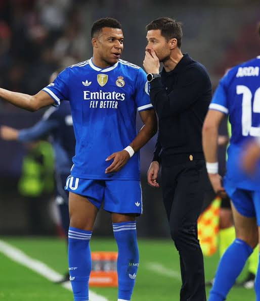 محمود مجيد tweet media