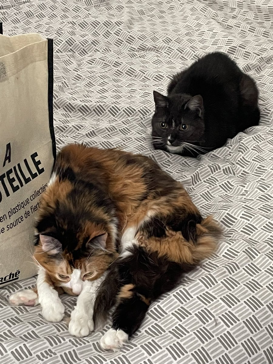 Aloy et Vera aka les plus mignonnes fifilles du monde