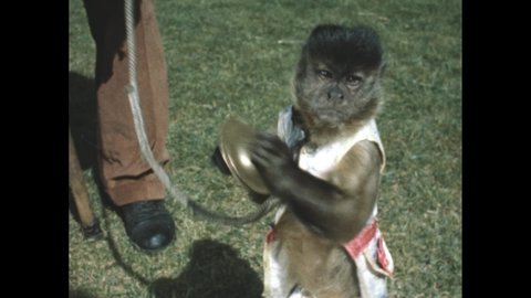 Barking Prophet tweet media