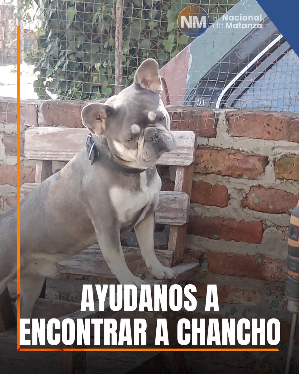 El Nacional de Matanza tweet media