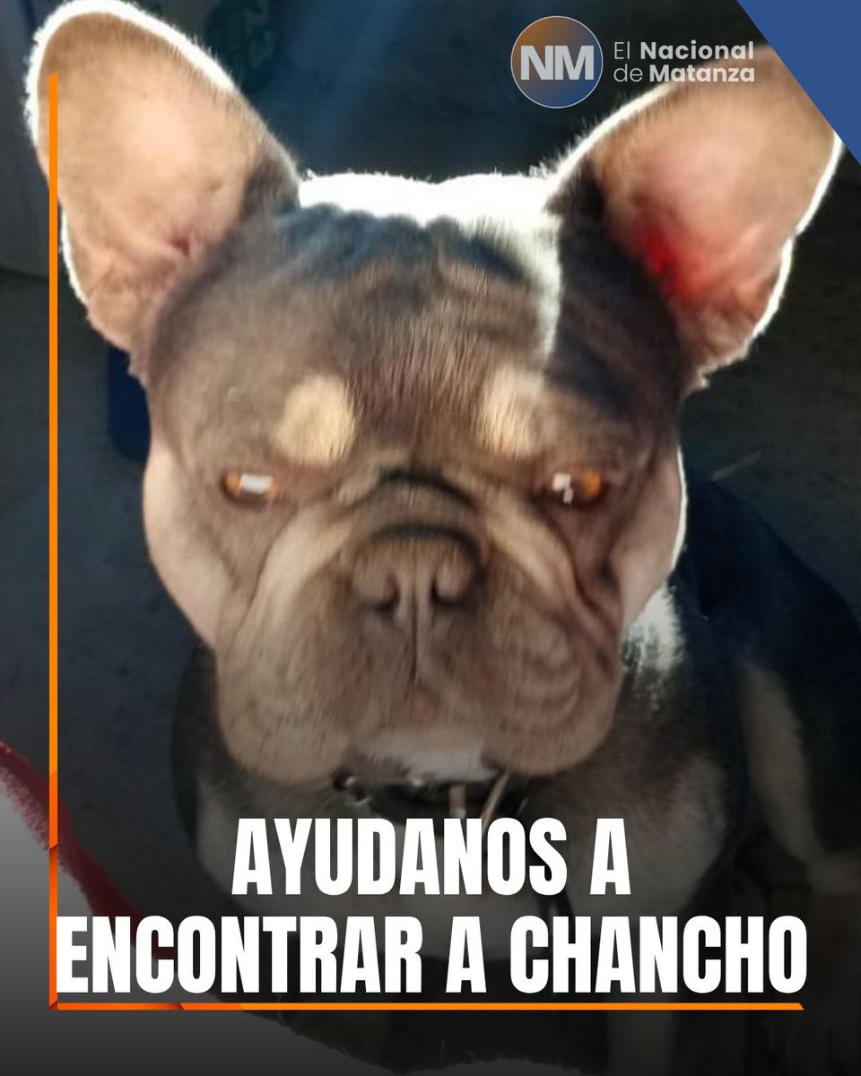 El Nacional de Matanza tweet media