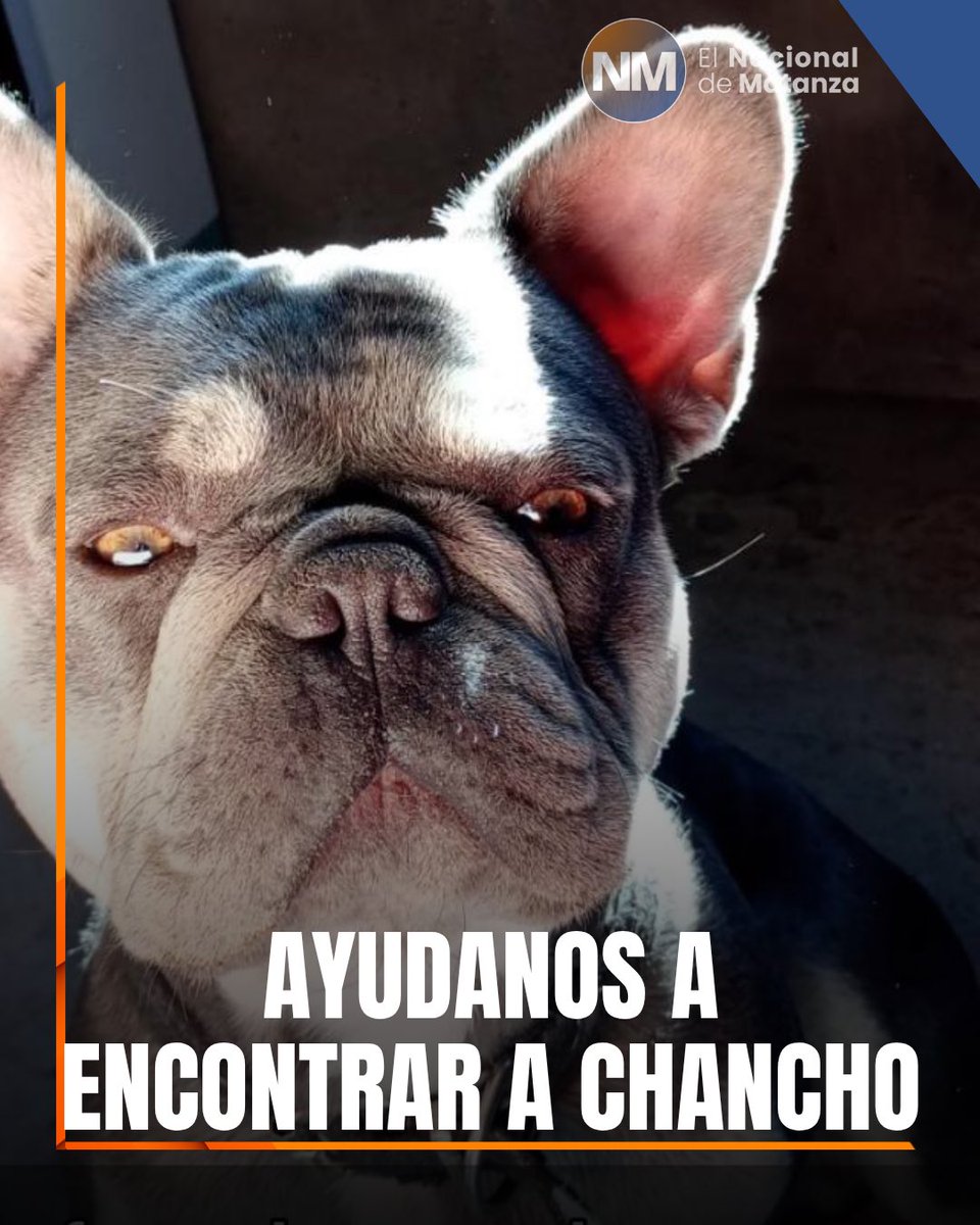 El Nacional de Matanza tweet media