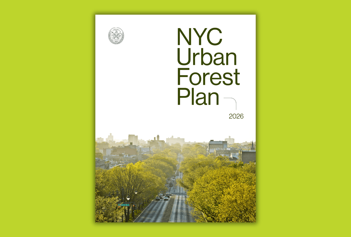 archpaper's tweet photo. An urban forest plan for New York City was shared this week. The forest plan is essential to help cool New York as temperatures rise from global warming, and counteract historic inequities in lower-income neighborhoods that have less access to shade.
https://t.co/QNhar5UhmA https://t.co/ioVuKTsaYF