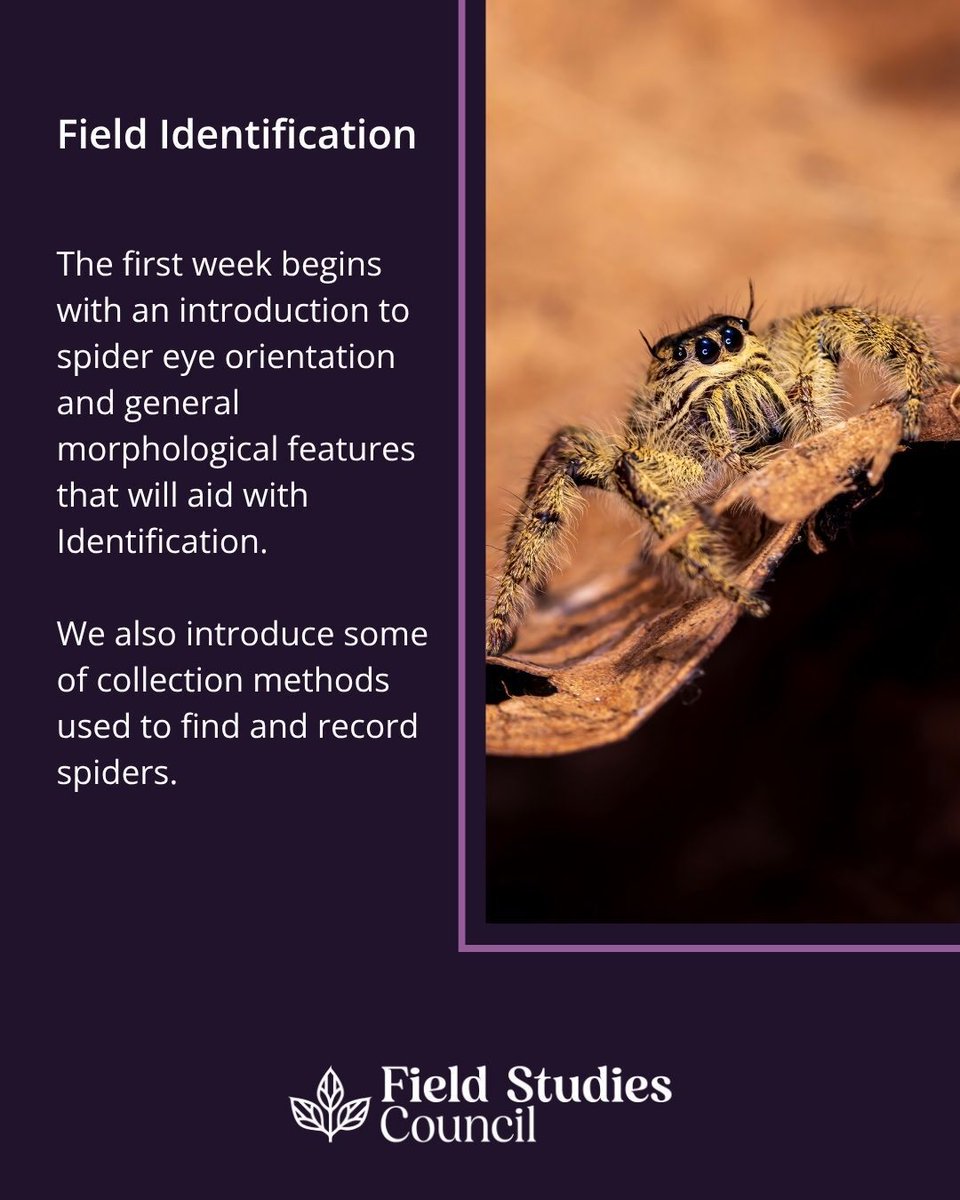 Field Studies Council tweet media