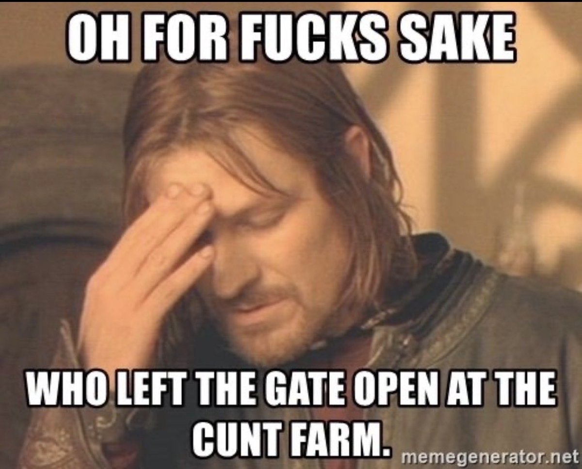 Semper Fidelis tweet media