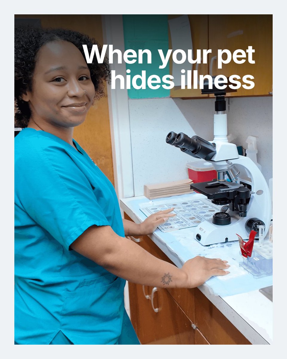 Does your pet seem fine but you still wonder if something's off? Pets often hide signs of illness. Routine vet exams catch hidden issues early, keeping your furry friend healthier longer.