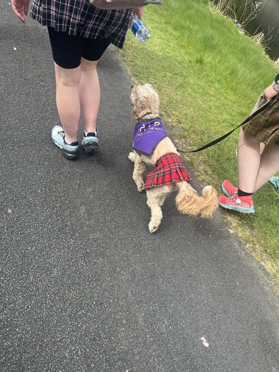 Amandapaterson_'s tweet image. 55k steps @ParkinsonsUK  #kiltwalk 🩵🩵