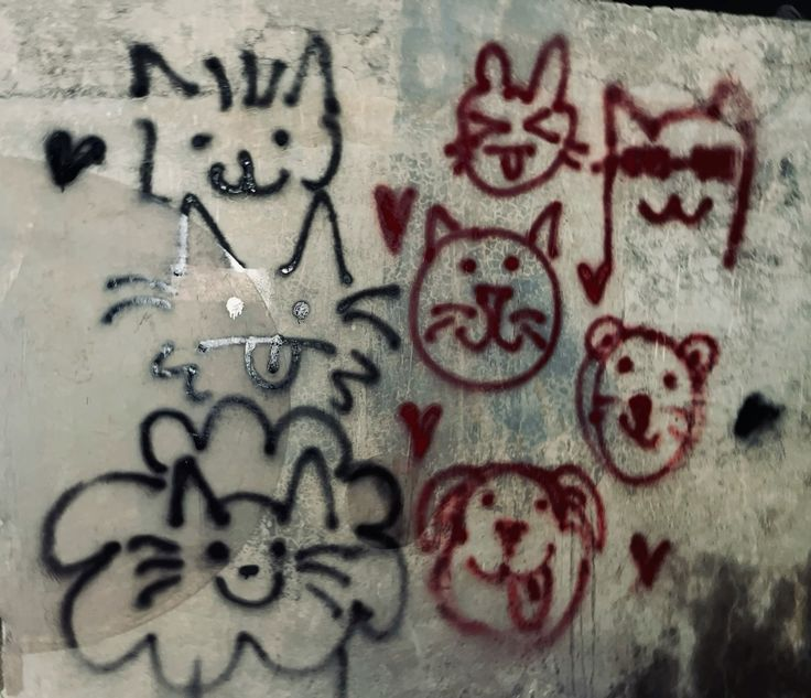 𝖈𝖍𝖆𝖇𝖆𝖟𝖎𝖙𝖊 tweet media