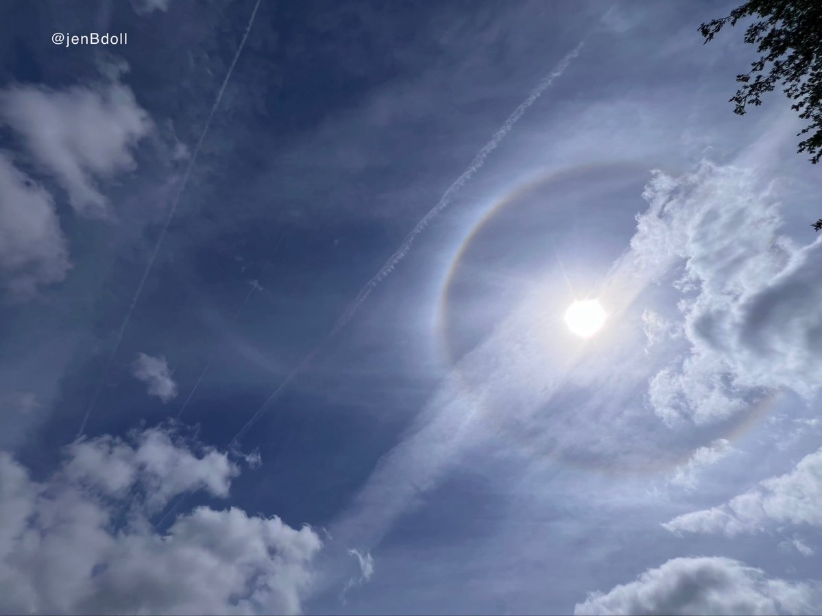 Jen B.Doll🌎❤️🗽🇺🇸 tweet media