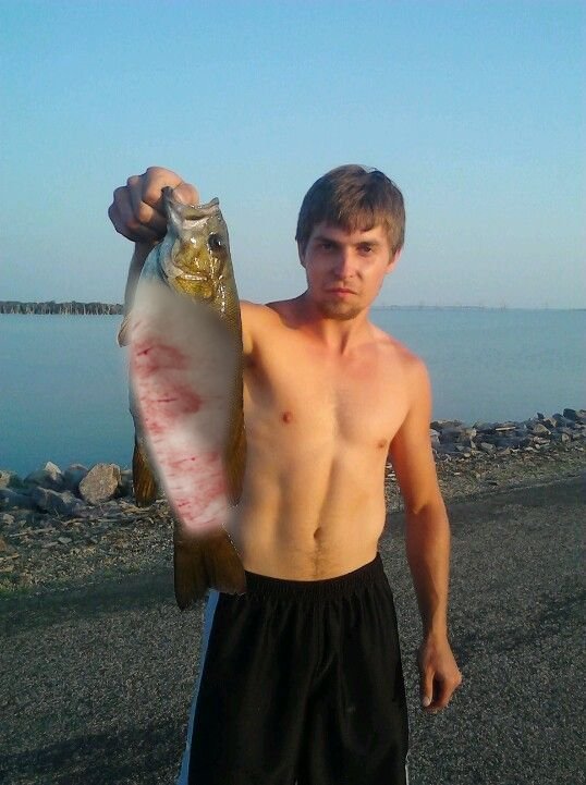 ♯ ⋮ Grim||Sun of shedtwt .ᐟ ★ tweet media