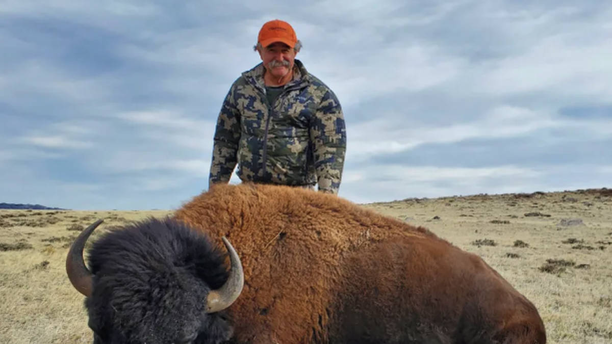 Night Sky Today tweet media