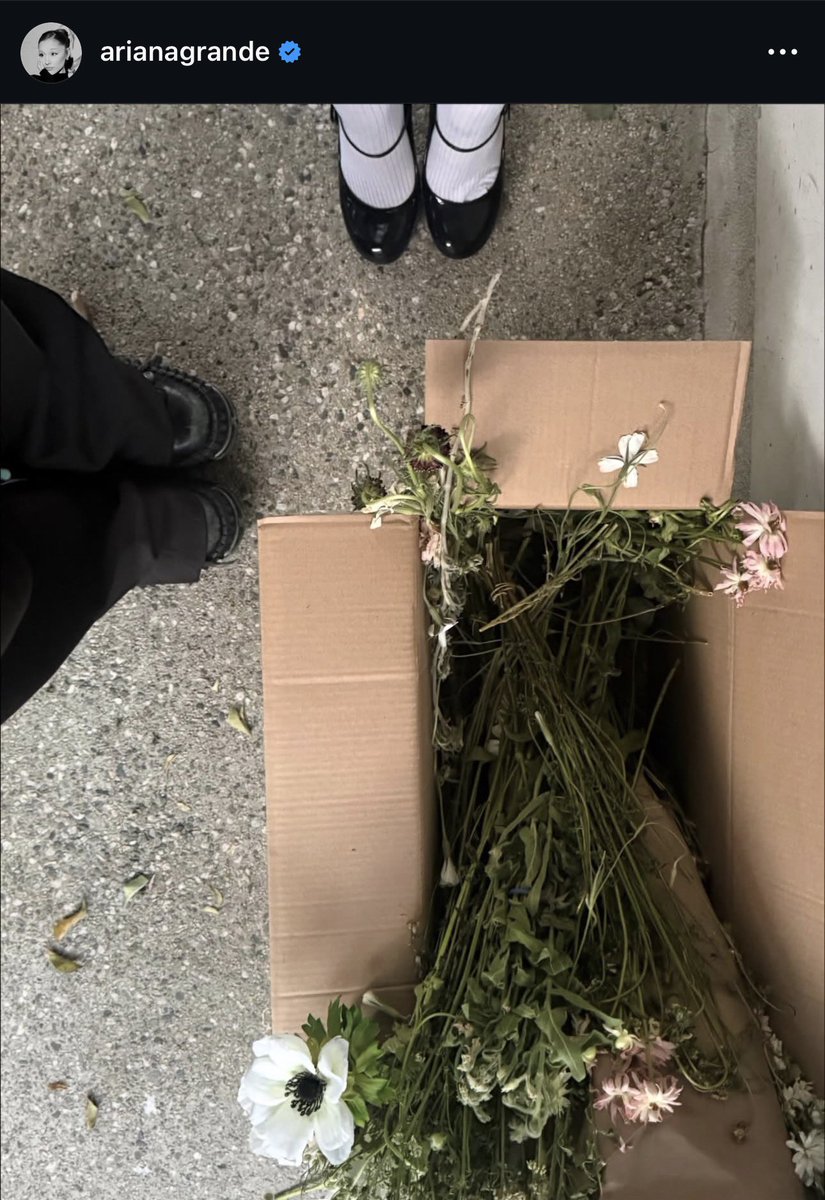 laurenꕤ tweet media