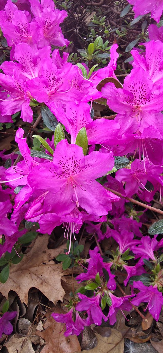 Kill Your Television 📺🔨 tweet media