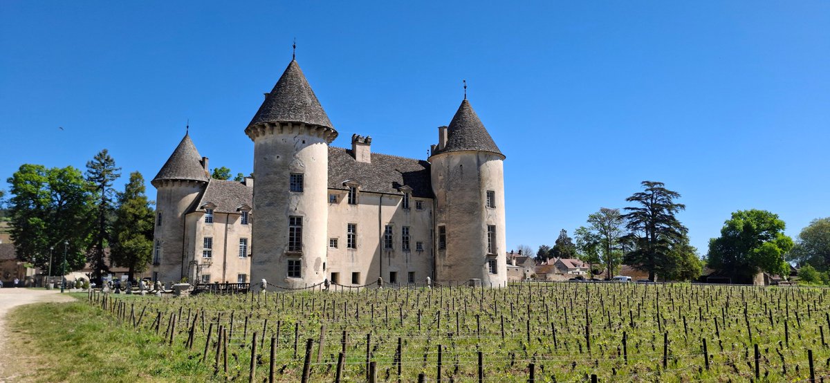 Romain Revert tweet media