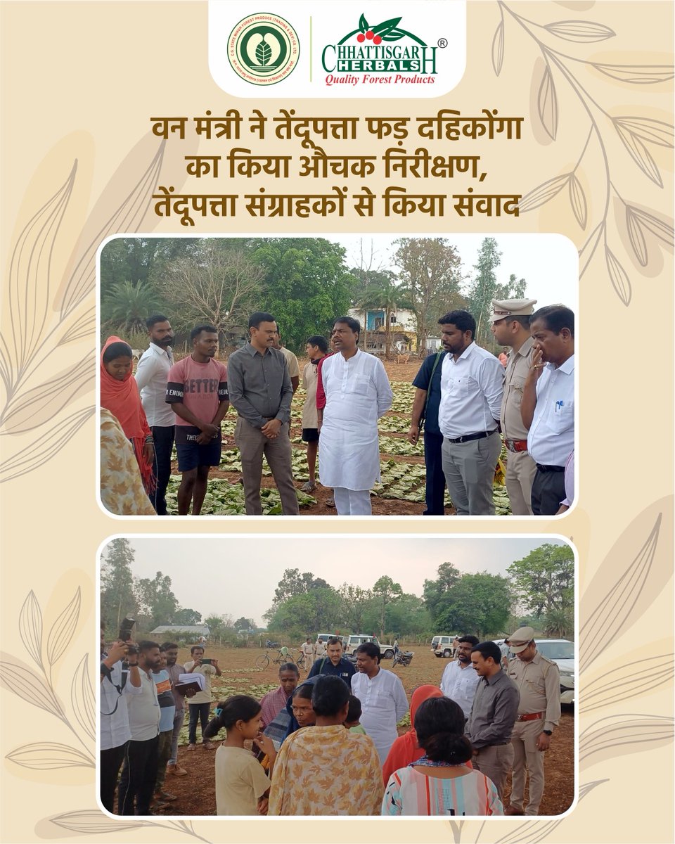 CGMFPFED's tweet photo. 26 अप्रैल 2026: वन मंत्री Kedar Kashyap ने दहिकोंगा फड़ में तेंदूपत्ता खरीदी का निरीक्षण किया, संग्रहकर्ताओं से संवाद किया। ₹4,000 से ₹5,500 प्रति बोरा बढ़ोतरी से जनजातीय आय में वृद्धि।
#तेंदूपत्ता #जनजातीयविकास #Chhattisgarh #tendupatta https://t.co/owwCK9iRTx