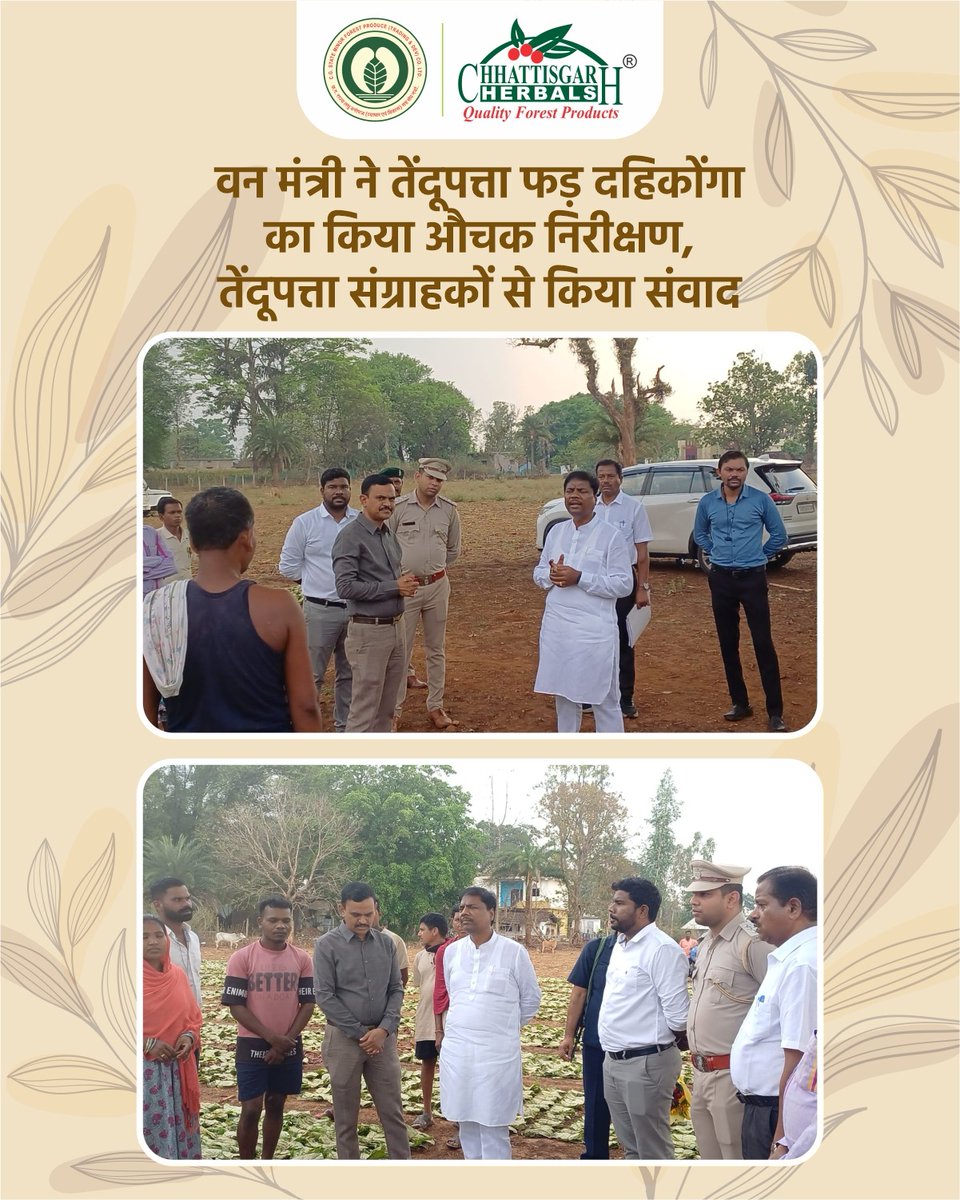 CGMFPFED's tweet photo. 26 अप्रैल 2026: वन मंत्री Kedar Kashyap ने दहिकोंगा फड़ में तेंदूपत्ता खरीदी का निरीक्षण किया, संग्रहकर्ताओं से संवाद किया। ₹4,000 से ₹5,500 प्रति बोरा बढ़ोतरी से जनजातीय आय में वृद्धि।
#तेंदूपत्ता #जनजातीयविकास #Chhattisgarh #tendupatta https://t.co/owwCK9iRTx