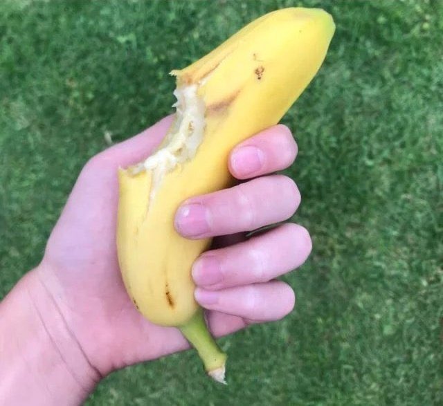 ̵𝐣̵𝐨̵𝐬̵𝐡̵ 。 tweet media